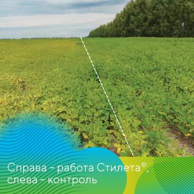 Стилет® против паутинного клеща на сое