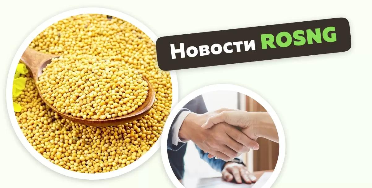 Обзор новостей за 8 мая
