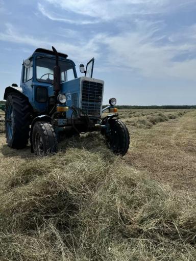 От майских заморозков до идеального сена: успешный сенокос в 2024 году