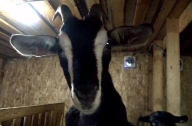 Видеосюжет о вашей компании