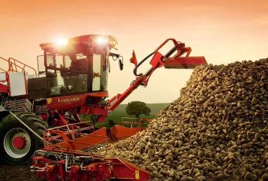 Погрузчики-очистители сахарной свеклы: ROPA euro-Maus 4 и Holmer Terra Felis 3