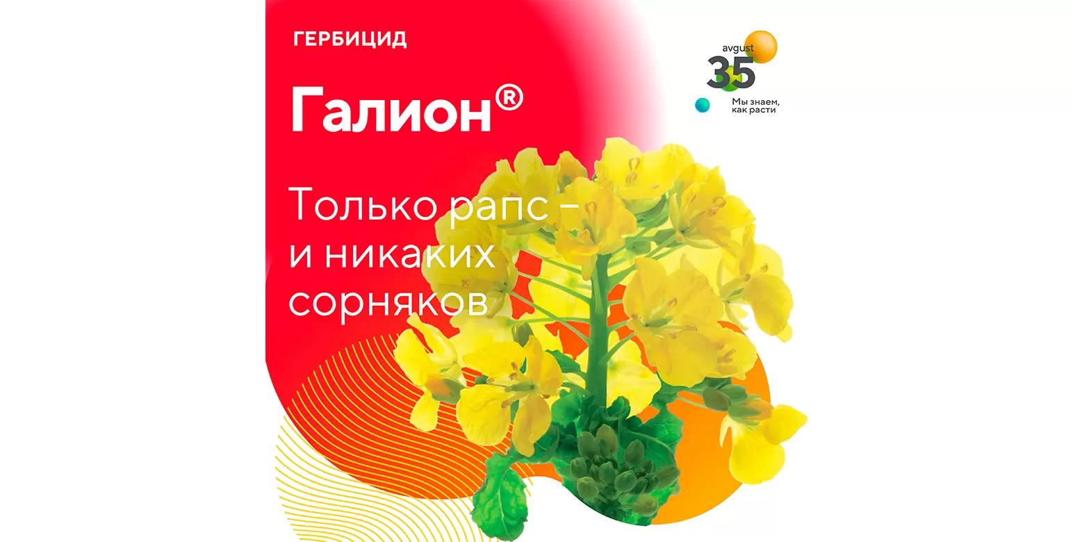 Галион® –гербицид для защиты рапса, капусты и льна от сорняков