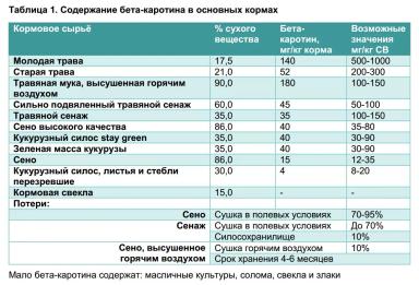 Обеспечение молочных коров бета-каротином