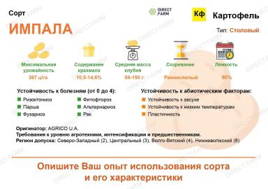 Импала  (IMPALA) картофель