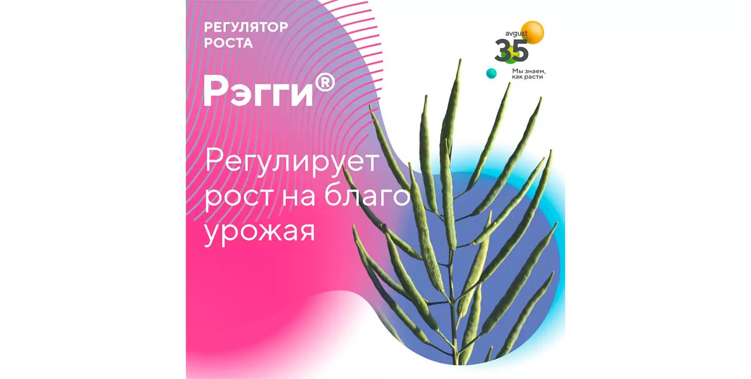 Рэгги® – регулятор роста растений