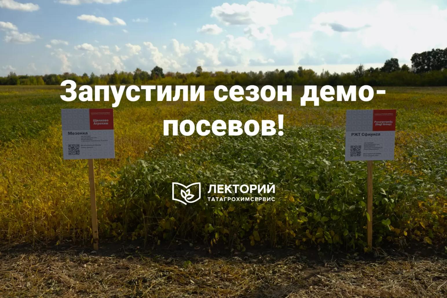 ⚡️ Запустили сезон демо-посевов! 