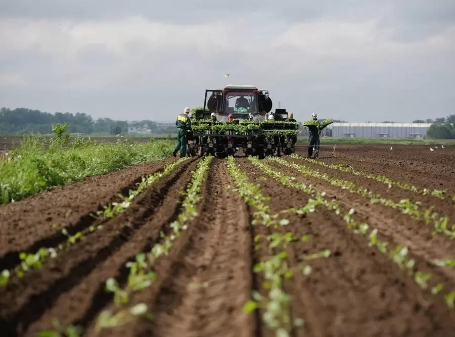 Россельхозбанк назвал факторы роста АПК в России