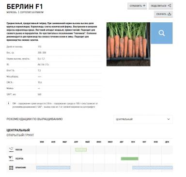 Берлин F1 (BERLIN)