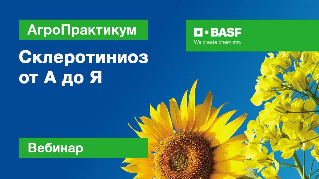 Запись вебинара