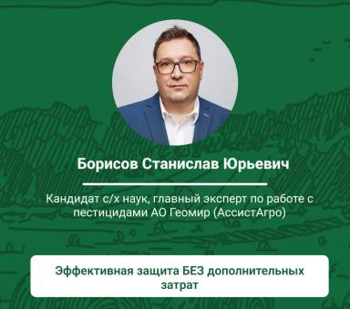 Рассказываем, что интересного вы можете узнать на Лектории!