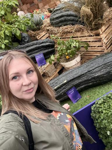 Судьба гигантской тыквы