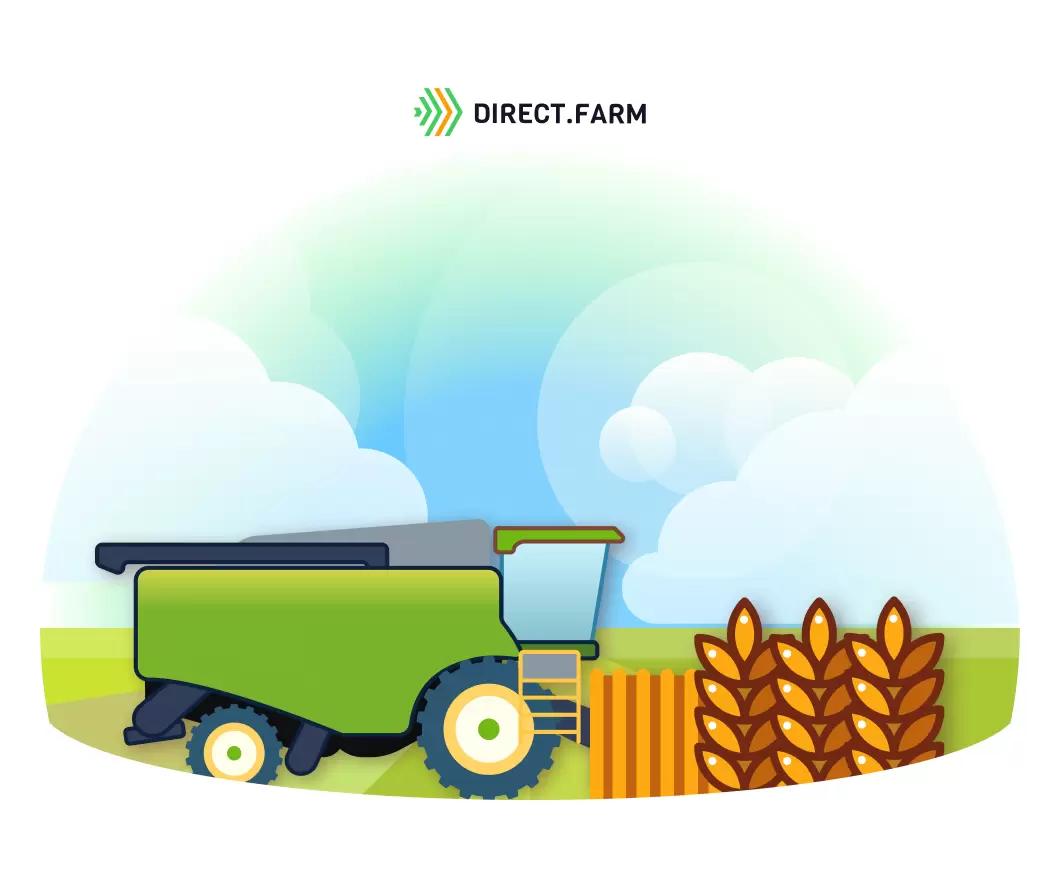 Какая оптимальная высота среза при уборке зерновых?