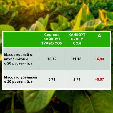 Продолжается активная работа по оценке технологий для защиты и питания сои