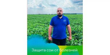 Как работает Ланцея® на сое?
