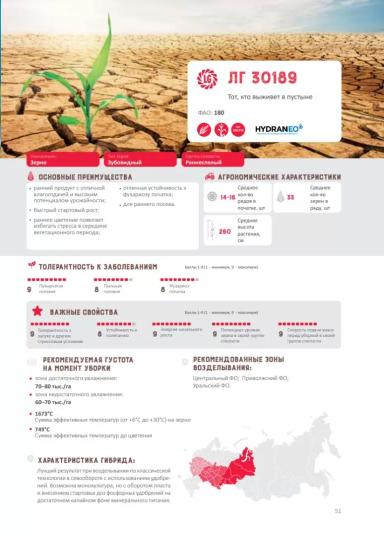 ЛГ 30189 гибрид кукурузы Лимагрейн