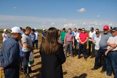 День соевого поля 🌱