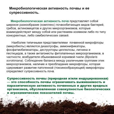 Обыкновенная корневая гниль: роль почвы