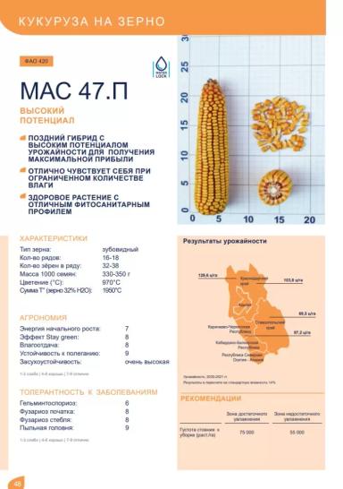 МАС 47. П гибрид кукурузы