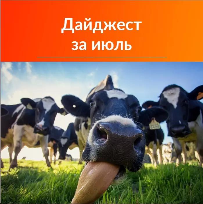 Дайджест за июль