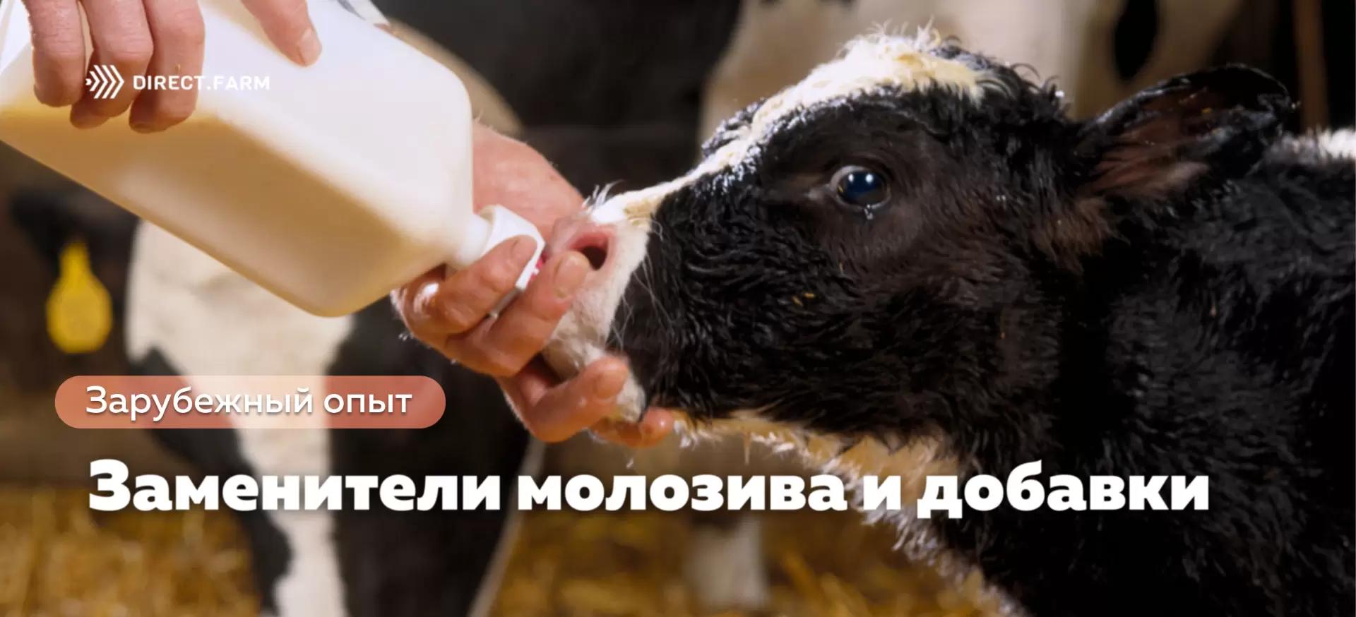 Добавки и заменители молозива