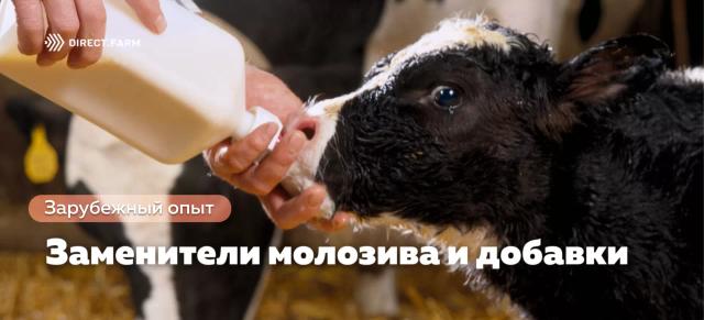 Добавки и заменители молозива