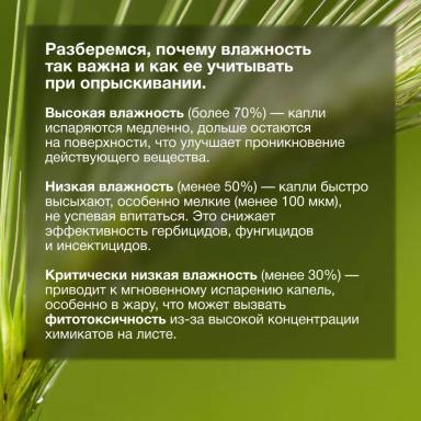 🌿 Влажность воздуха — главный союзник защиты растений!