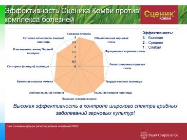 Сценик Комби – опыт применения протравителя