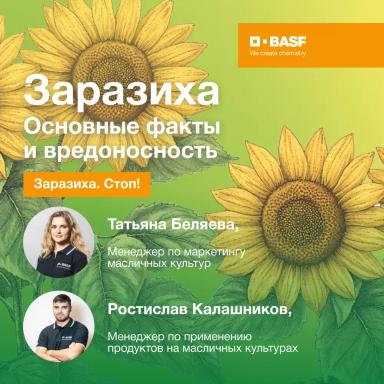 Заразиха. Стоп!