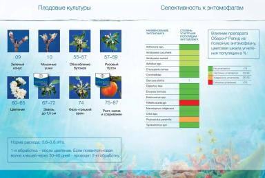 Оберон Рапид – опыт применения инсектоакарицида