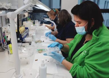 Минсельхоз и Госсорткомиссия оценили НИЦ «Августа»