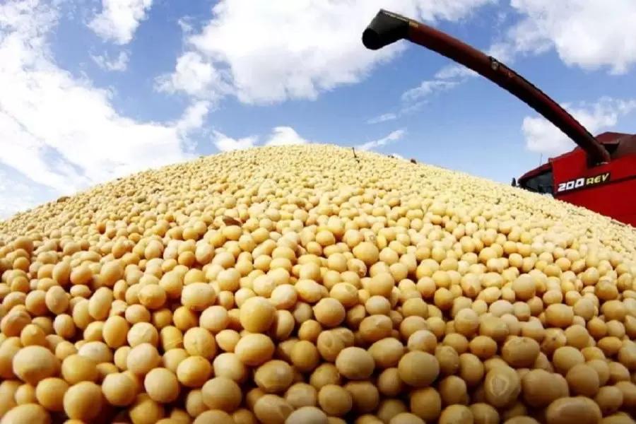 Минсельхоз предложил сделать постоянной пошлину на экспорт сои