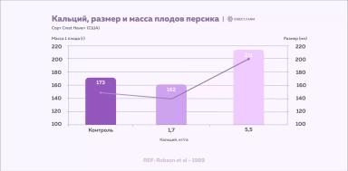 Как увеличить размер и массу плодов косточковых: элементы питания