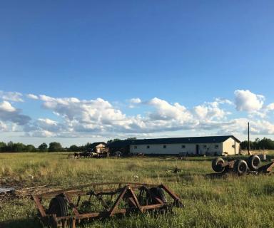 Сельхозземля 270 га (СНТ, ДНП), Новгородская область