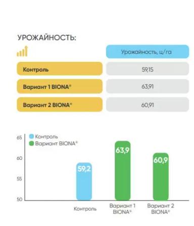 Деструкторы стерни: эффективность биопрепаратов компании BIONA