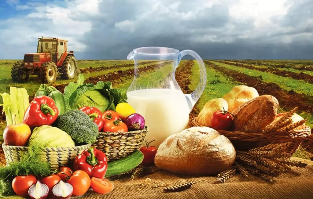 В Госдуме обеспокоены нехваткой молока и овощей в России