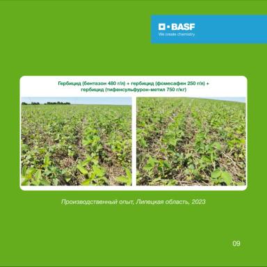 БАЗАГРАН® и другие бентазон-содержащие гербициды на сое: правда и мифы