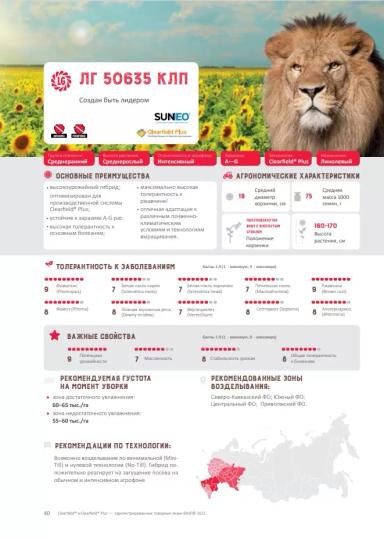 ЛГ 50635 КЛП гибрид подсолнечника Лимагрейн