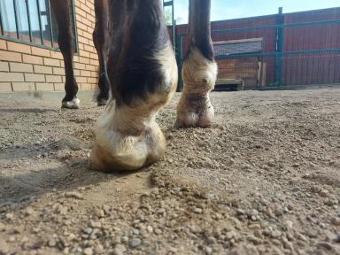 Как лечить мокрецы? 