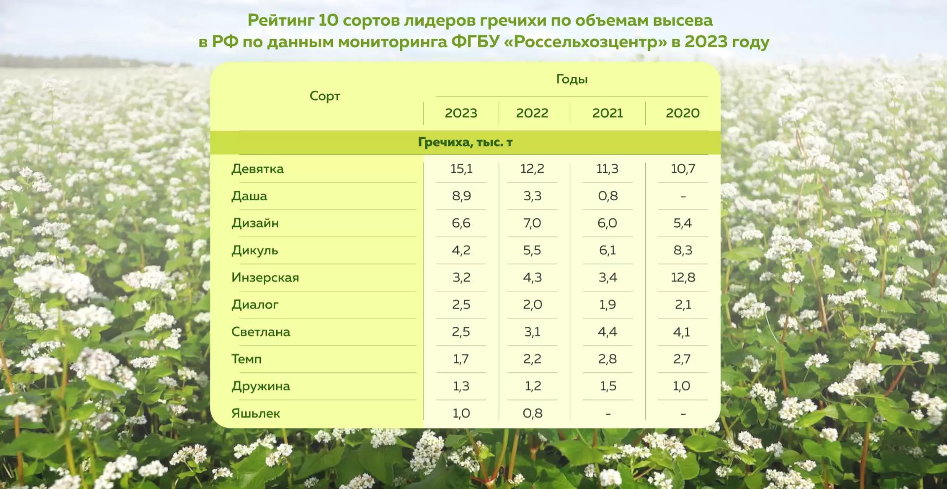 Топ сортов гречихи за 2023 год