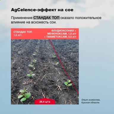Соевый агрокалендарь