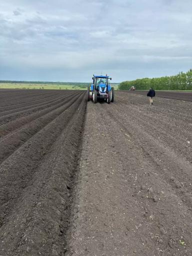 Системы точного земледелия  в картофелеводстве