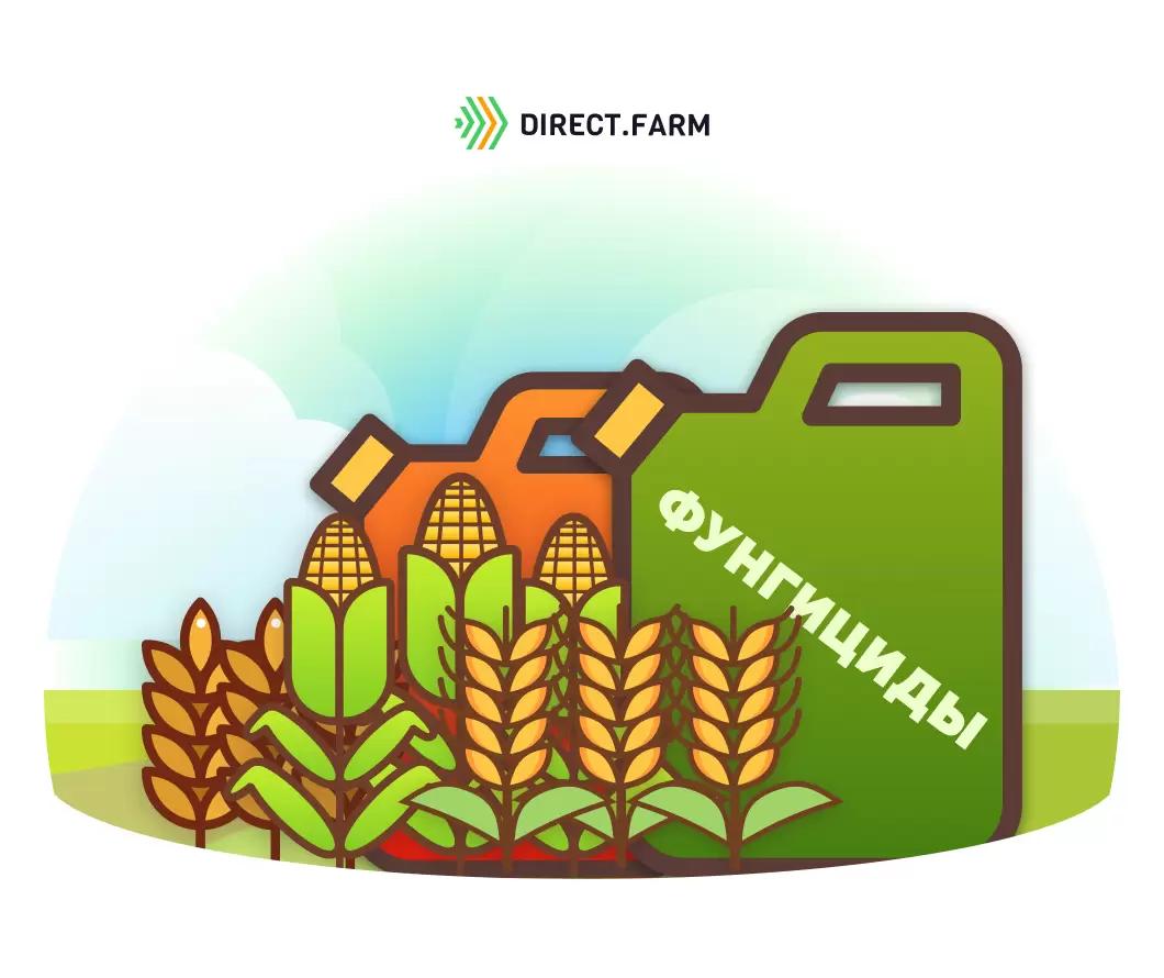 Подбор действующих веществ фунгицидов в системе защиты зерновых