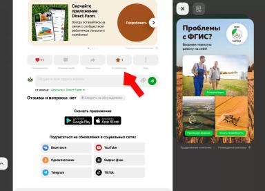 Топ сортов сои