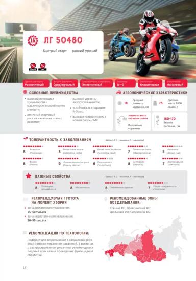 ЛГ 50480 подсолнечник Лимагрейн