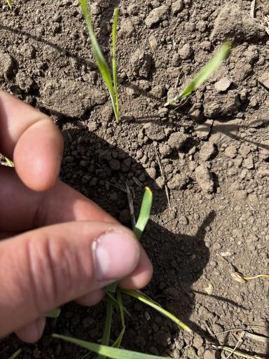 Приветствую 