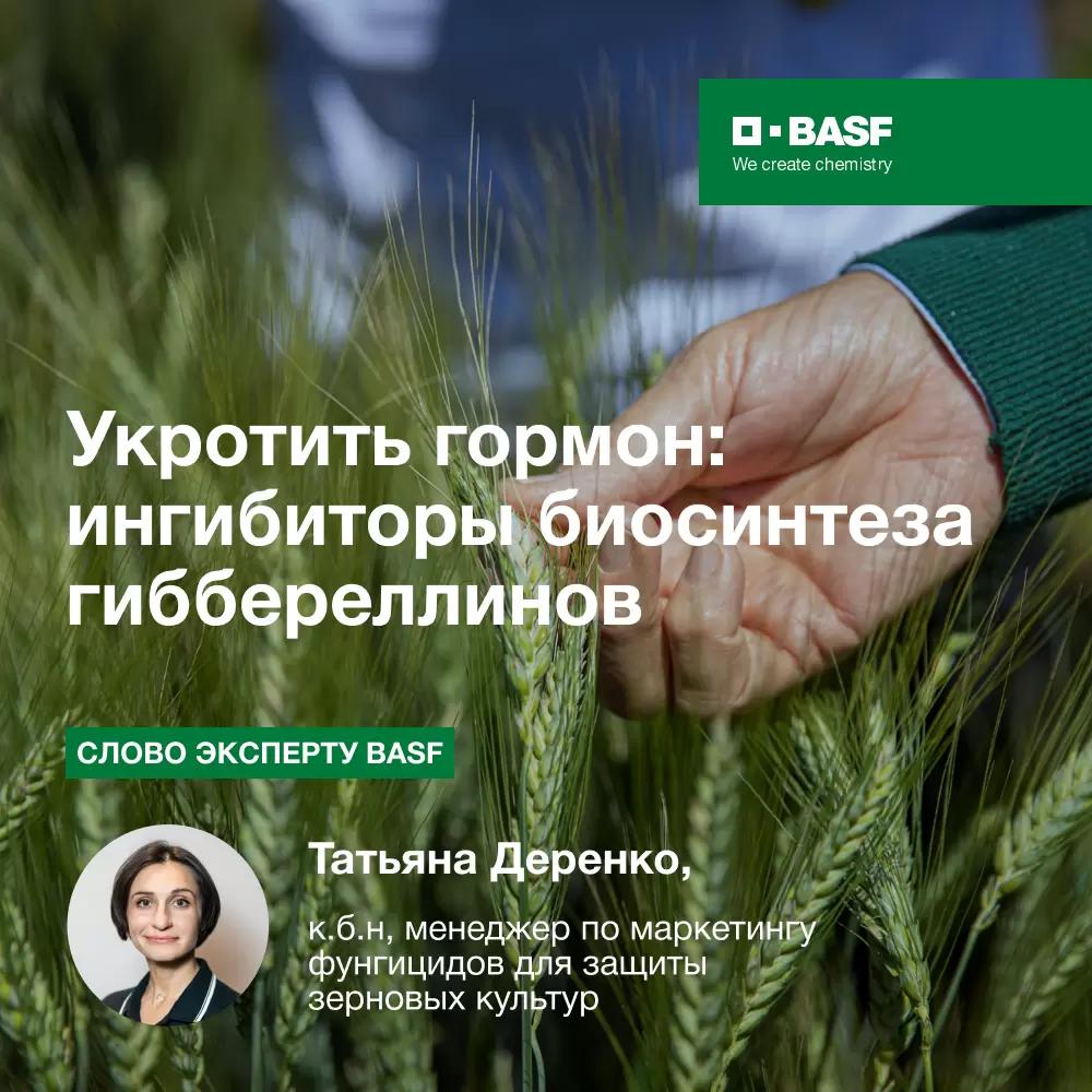 Замедление выработки гормонов-гиббереллинов