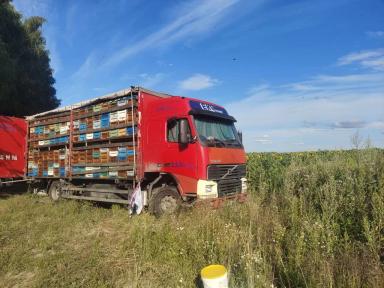 Агрономы против пчел?