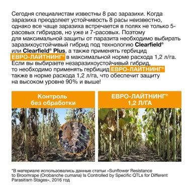 🌻 Механизм сопротивления к заразихе