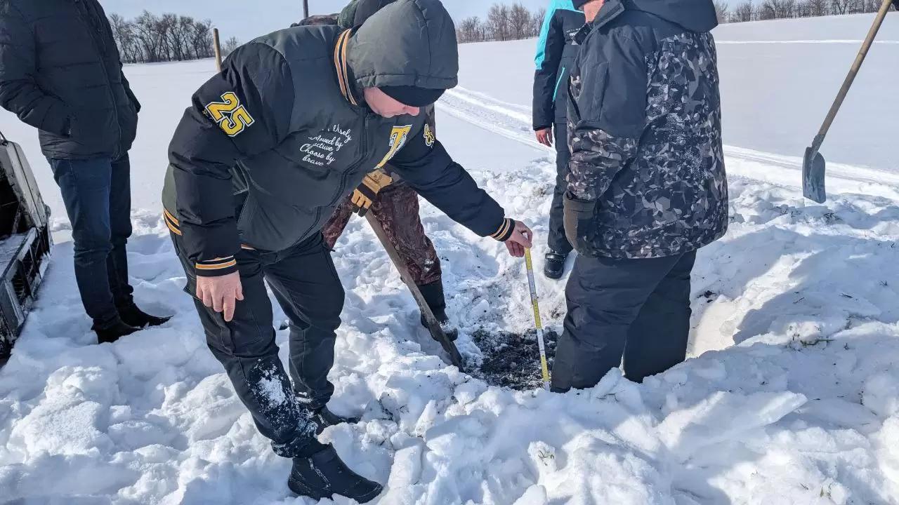 Как перенесла морозы озимая пшеница на Агрополигоне «Приволжье»?