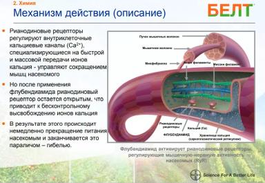 Борьба с яблонной плодожоркой – практические рекомендации